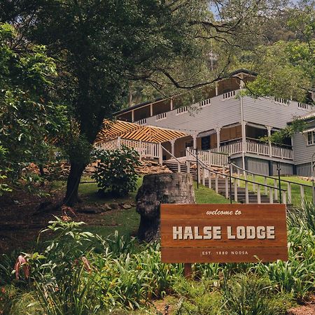 Halse Lodge Noosa Heads Extérieur photo