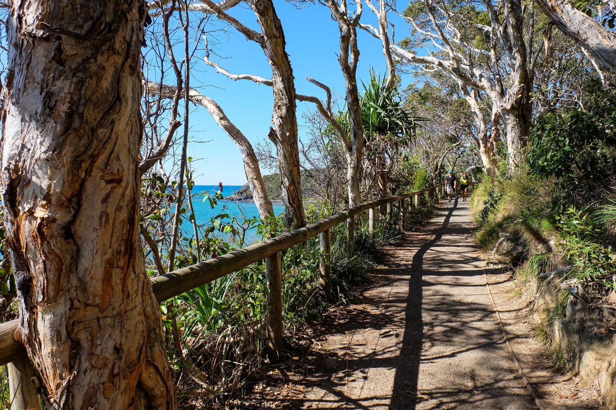 Halse Lodge Noosa Heads Extérieur photo